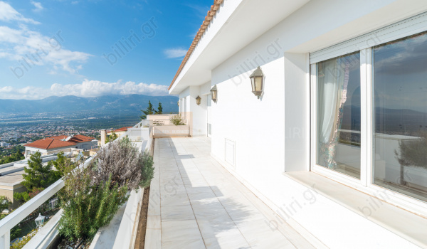 Εξωτερική όψη - Outdoor view